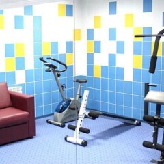 Гостиница Евротель Южный фитнесс-зал