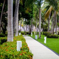 Отель Vista Sol Punta Cana Beach Resort & Spa - All Inclusive фото 8
