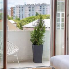 Отель LV Premier Amoreiras Am3- City Center, Balconies, air Conditioned, Elevator Португалия, Лиссабон - отзывы, цены и фото номеров - забронировать отель LV Premier Amoreiras Am3- City Center, Balconies, air Conditioned, Elevator онлайн балкон
