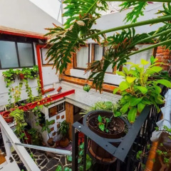 Hostel Mexico Df Airport Мехико фото 7