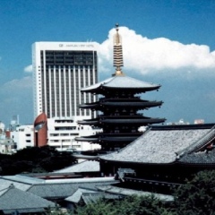 Отель Asakusa View Hotel Япония, Токио - отзывы, цены и фото номеров - забронировать отель Asakusa View Hotel онлайн пляж фото 2