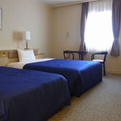 Asakusa Central Hotel удобства в номере
