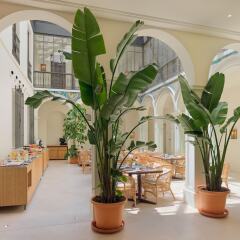 Отель H10 Palacio Colomera
