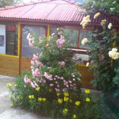 Отель Guest House Stoletnika Чепеларе фото 5