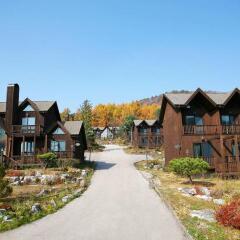 Отель Chalet Resort Южная Корея, Пхёнчан - отзывы, цены и фото номеров - забронировать отель Chalet Resort онлайн фото 4