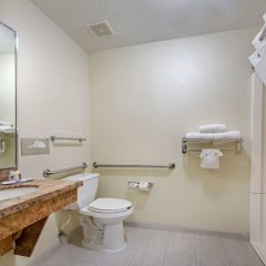 Comfort Inn East in Indianapolis, United States of America from 129$, photos, reviews - zenhotels.com bathroom