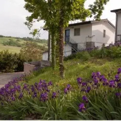 Отель Agriturismo La Conca D'oro Сальсомаджоре