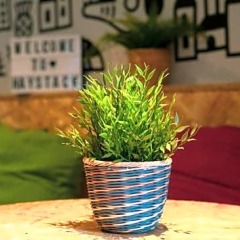 Отель Haggis Hostels Великобритания, Эдинбург - отзывы, цены и фото номеров - забронировать отель Haggis Hostels онлайн фото 3