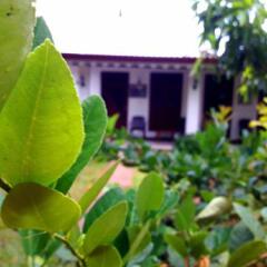 Sylvester Villa Hostel Negombo фото 13