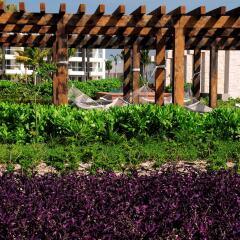 Отель Mareazul Family Beach Condohotel Плая-дель-Кармен фото 4