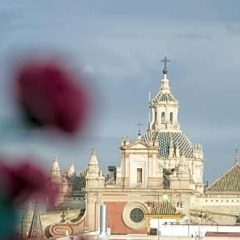 Отель Plaza Испания, Севилья - 1 отзыв об отеле, цены и фото номеров - забронировать отель Plaza онлайн фото 7