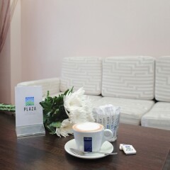 Гостиница Plaza Medical & SPA Железноводск в Железноводске отзывы, цены и фото номеров - забронировать гостиницу Plaza Medical & SPA Железноводск онлайн фото 4
