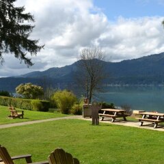 Отель Lake Quinault Lodge Куинолт приотельная территория фото 2