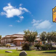 Отель Super 8 by Wyndham Lindsay Olive Tree фото 5