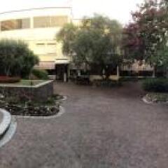 Отель Venice Palace Hotel Италия, Мирано - отзывы, цены и фото номеров - забронировать отель Venice Palace Hotel онлайн фото 8