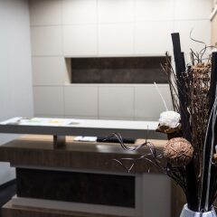 Отель River Lodge Австрия, Вена - отзывы, цены и фото номеров - забронировать отель River Lodge онлайн спа