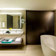 Hyatt Centric San Isidro Lima in Lima, Peru from 203$, photos, reviews - zenhotels.com bathroom