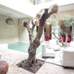Отель Riad Vendôme & Spa бассейн фото 3