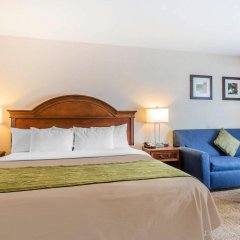 Comfort Inn & Suites in South Burlington, United States of America from 285$, photos, reviews - zenhotels.com guestroom