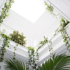 Отель Hostal El Arco фото 9