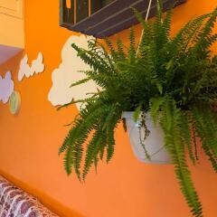Отель With one Bedroom in Genova, With Enclosed Garden and Wifi - 3 km From the Beach Италия, Генуя - отзывы, цены и фото номеров - забронировать отель With one Bedroom in Genova, With Enclosed Garden and Wifi - 3 km From the Beach онлайн фото 7