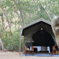 Отель Mahoora Tented Safari Camp - Kumana Шри-Ланка, Яла - отзывы, цены и фото номеров - забронировать отель Mahoora Tented Safari Camp - Kumana онлайн