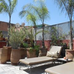 Отель Riad Alegria Марокко, Марракеш - отзывы, цены и фото номеров - забронировать отель Riad Alegria онлайн бассейн фото 2