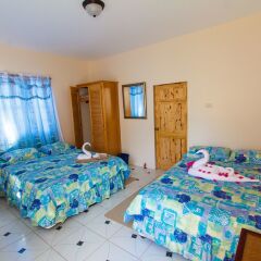 Отель Buccoo Reef Bliss комната для гостей фото 5