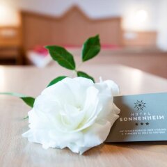 Hotel Sonnenheim Валь-ди-Вицце удобства в номере