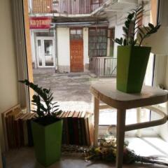 Гостиница Antihostel Forrest Львов фото 2