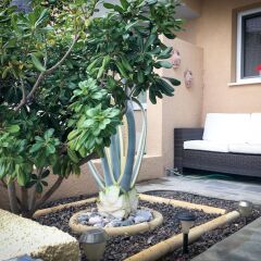 Отель Ilios Townhouse фото 2