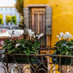 Отель oM Plus Prato della Valle Италия, Падуя - отзывы, цены и фото номеров - забронировать отель oM Plus Prato della Valle онлайн балкон