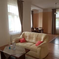 Отель Villa Sofia Apartments Чехия, Карловы Вары - отзывы, цены и фото номеров - забронировать отель Villa Sofia Apartments онлайн комната для гостей фото 4