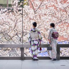 Отель Meguro Gajoen Токио приотельная территория