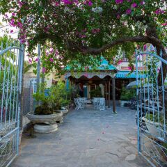Отель Mango Garden Hoi An Homestay фото 6