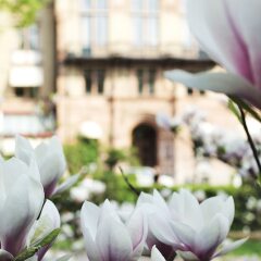 Отель Grand Hotel Lund Швеция, Лунд - отзывы, цены и фото номеров - забронировать отель Grand Hotel Lund онлайн фото 3