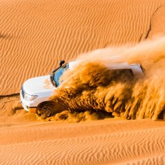 Отель Desert Nights Camp Оман, Аль-Габби - отзывы, цены и фото номеров - забронировать отель Desert Nights Camp онлайн удобства в номере