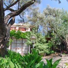 Отель Elena Guest House Пржно