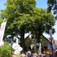 Hotel & Gaststätte Zum Erdinger Weißbräu Мюнхен