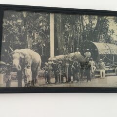 Отель The Entrance - Galle Fort