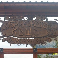 Отель Dobrikovskata Guest House Чепеларе приотельная территория