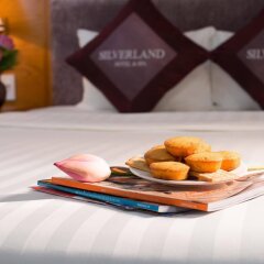 Silverland Sil Hotel & Spa in Ho Chi Minh City, Vietnam from 54$, photos, reviews - zenhotels.com photo 2
