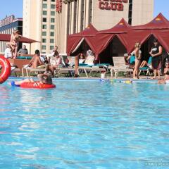 Отель Plaza Hotel & Casino США, Лас-Вегас - 1 отзыв об отеле, цены и фото номеров - забронировать отель Plaza Hotel & Casino онлайн бассейн