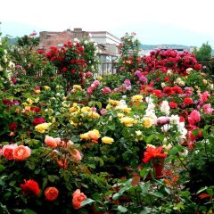 Roza Hotel Казанлак фото 5