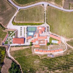 Отель Quinta da Barroca Португалия, Армамар - отзывы, цены и фото номеров - забронировать отель Quinta da Barroca онлайн с домашними животными