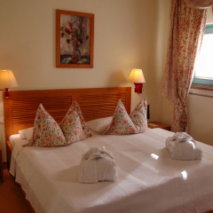 Albergo Hotel 4* Стандартный номер с различными типами кроватей фото 6