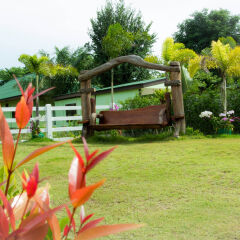 Отель Nam Talay Resort детские мероприятия