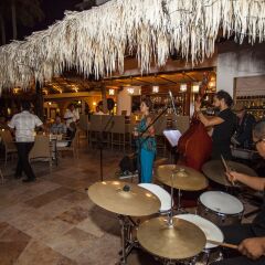 Cabo Surf Hotel & Spa гостиничный бар