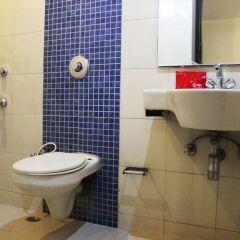 Отель OYO 1824 Hotel Grand Peepal Индия, Нью-Дели - отзывы, цены и фото номеров - забронировать отель OYO 1824 Hotel Grand Peepal онлайн ванная