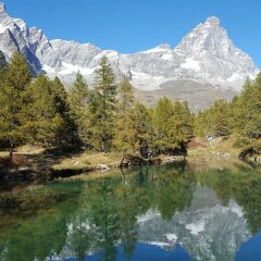 Отель B&B Ambrosia Италия, Аоста - отзывы, цены и фото номеров - забронировать отель B&B Ambrosia онлайн приотельная территория